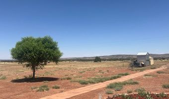 Hc 65 35100 HWY 180A, Concho, AZ 85924