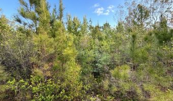 Broadview Avenue, Alford, FL 32420