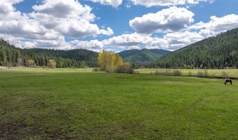 31850 Yearling Run, Alberton, MT 59820