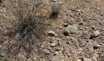4755 Gold Butte Rd, Bunkerville, NV 89007