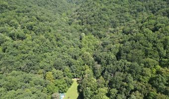 1083 Right Fork Crummies Crk, Arnoldsburg, WV 25234
