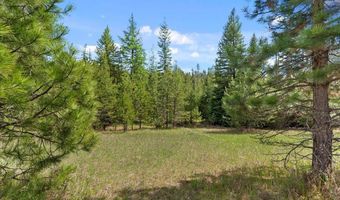 Nna Mesa Drive, Careywood, ID 83809