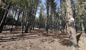 Lot 563 Lakeview Park Drive, Angel Fire, NM 87710