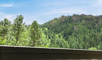 124 W Hyman Ave 3B, Aspen, CO 81611