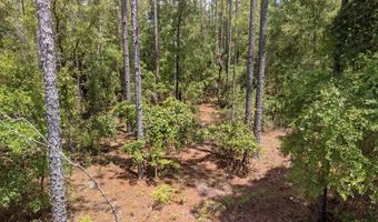 TBD 65th St, Bell, FL 32619