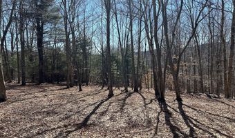 L22.2 Alder Pond Road, Andes, NY 13740