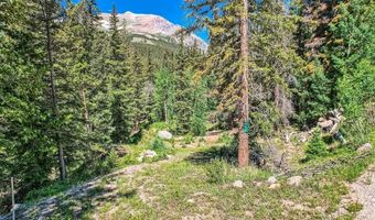 553 Nuthatch Dr Lot 18, Alma, CO 80440