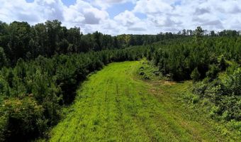 County Road 53, Banks, AL 36005