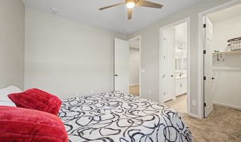 11081 W HADLEY St, Avondale, AZ 85323