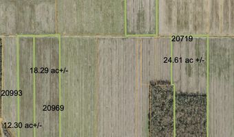 Sr 1918 Road, Aurora, NC 27806