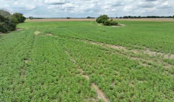 290 CR, Asbury, MO 64832