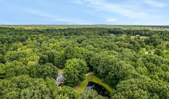 2175 Curtis Rd, Addison, MI 48367