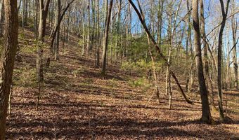 Collett Wood Cove lot 4-18, Andrews, NC 28901