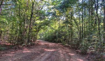 Anding Oil City Road, Bentonia, MS 39040