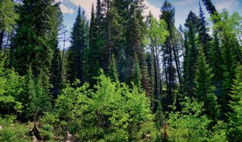 9380 E Kessler View Ln, Brighton, UT 84121