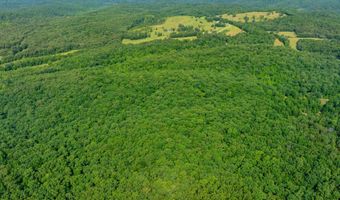 Cave Creek Road, Batesville, AR 72501