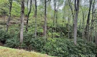 Daisy Ridge Road lot 36, Banner Elk, NC 28604