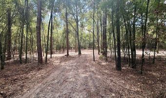 SW 20th St, Bell, FL 32619