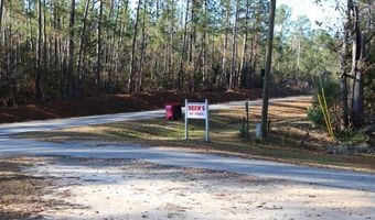 0 Deen Landing Rd, Baxley, GA 31513