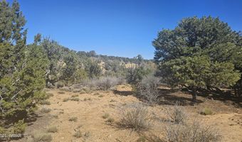 4 County Rd, Concho, AZ 85924