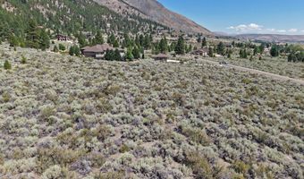 2458 Eagle Ridge Rd 1, Genoa, NV 89411