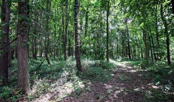 25270 B Dr S, Albion, MI 49224