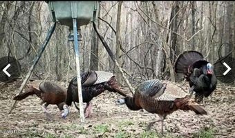 Putnam Road, Belzoni, MS 39038