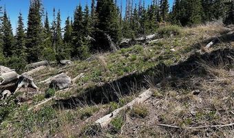 115 S Olympic Dr, Brian Head, UT 84719