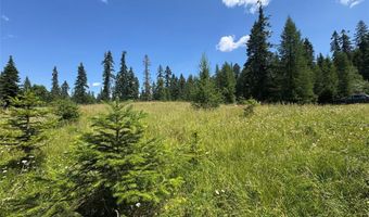 13643 Sundance Trl, Bigfork, MT 59911
