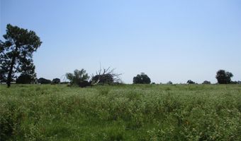 Rains County Road 2360, Alba, TX 75410