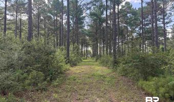 154 Perry Ln, Atmore, AL 36502