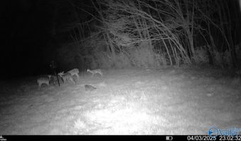 225 Stone Rd, Albertville, AL 35951