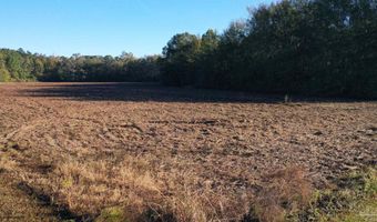 Lot 1 Freemanville Dr, Atmore, AL 36502