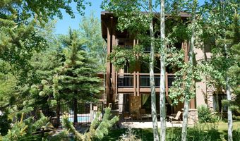 131 E Durant Avenue 410, Aspen, CO 81611