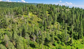 338 Flathead Lodge Rd, Bigfork, MT 59911