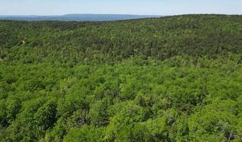 TRACT 39 TRAIL RIDGE ROAD, Albion, OK 74571