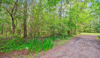 7095 Parkers Ferry Rd, Adams Run, SC 29426