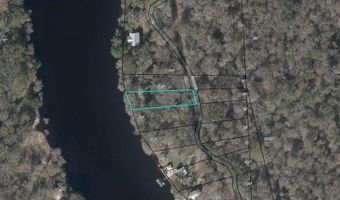 86 Th Way, Bell, FL 32619