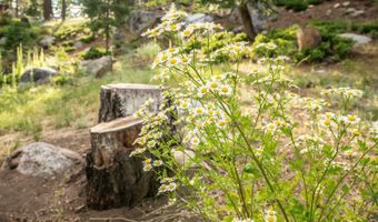 405 Skyline Dr, Arnold, CA 95223