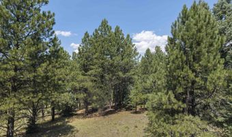 9 Buckskin Rd, Angel Fire, NM 87710