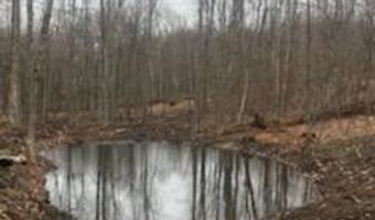 Lot39 Tripptown Road, Hiram, ME 04041