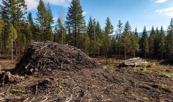 773 Cougar Loop, Clark Fork, ID 83811