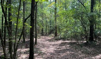 TBD County Road 40, Abbeville, AL 36310