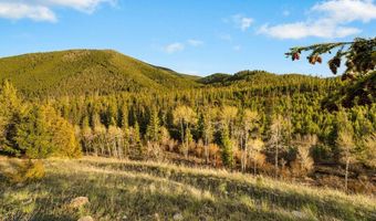 1470 Lime Spur Rd, Anaconda, MT 59711