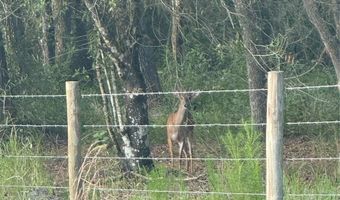 SE BROWN ROAD, Arcadia, FL 34266