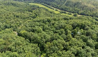 2401 Bell Point Rd, Beattyville, KY 41311