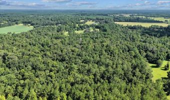 NW 218TH LANE, Alachua, FL 32615