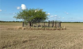 FM 1352, Alice, TX 78332