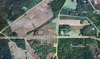 1300 Red Oak Rd, Barnwell, SC 29812