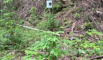 88 Acres Bolden Br, Andrews, NC 28901